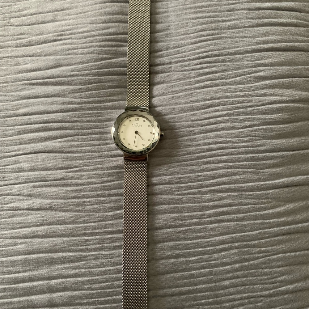 Silver Skagen watch